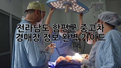 전라남도 함평군 중고차 경매장 정보 완벽 가이드